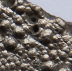 TWO POEMS by C. Dale Young