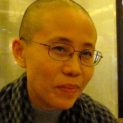 THEY THINK THEY KNOW AMELIA EARHART, by Julia Kolchinsky Dasbach